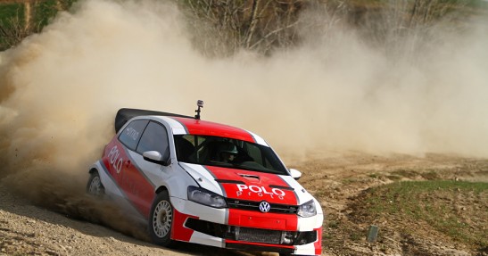 Testy Polo Proto